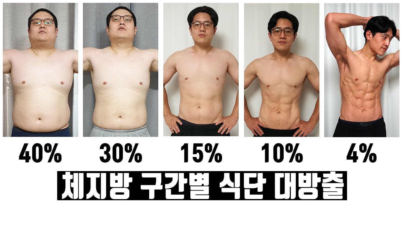 체지방별 다이어트 식단 2편] / 체지방 20 ~ 4% 구간 (50Kg 감량 비법) - Youtube