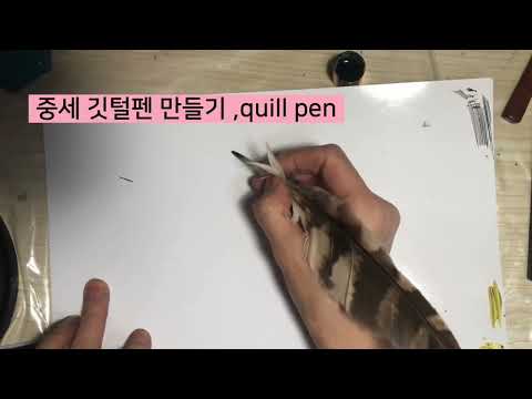 🪶Feather Quill Pen 🦉깃털펜 펜드로잉 도라에몽