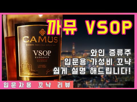 가성비 꼬냑 까뮤 VSOP