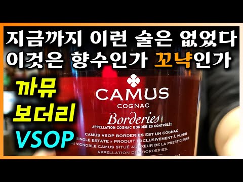 [ 코냑 ] 면세점의 성공신화! 프랑스의 가장 아로마틱한 술(꼬냑) | 까뮤 보더리 VSOP