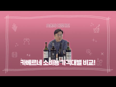 카베르네 소비뇽 가격대별 비교! | 마트에서 살 수 있는 5만원 이하 4종 제대로 비교해 봤어요 🍷