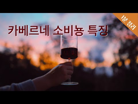 카베르네 소비뇽 특징  | 와인 품종 이야기 | 와인 기초 | 와인공부 | 1분 정리