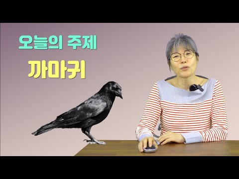 20강 : 성경 속의  '까마귀'의 비밀 - '성경 속 동물들'의 감추어진 의미들 / 남은순의 요벨 TV