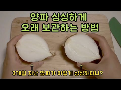 양파 보관 : 양파 보관법 : 3개월이 지나도 싱싱함 : How to Store Onions