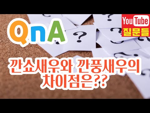 깐쇼새우와 깐풍새우의 차이점은??