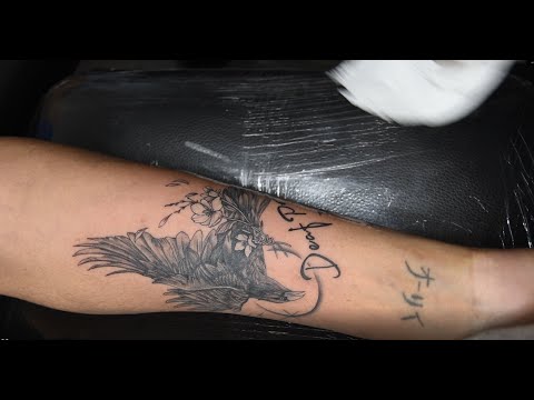 [Nolgida.tattoo]까마귀타투/블랙워크/레터링/타투과정/raven tattoo/tattoo process/black skin/3rl 5rl