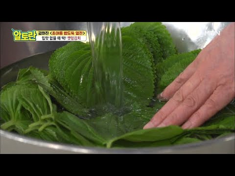 ※황금꿀팁※ 깻잎 손질 OOO에 담구면 바로 끝?!