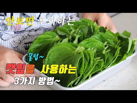 간단하고 맛있는 깻잎요리 3가지~ 강쉪^^ korean food recipe, 3 kinds perilla leaf recipe.