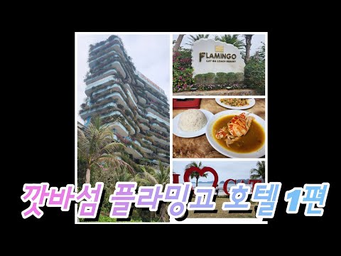 깟바섬. 플라밍고 호텔 . 하이퐁에서 깟바 가는방법. 벤파갓 .벤빈. yummy . 구글 맛집. 오아시스바. 전망대. 오션뷰 .여행 .5성급. 전기차