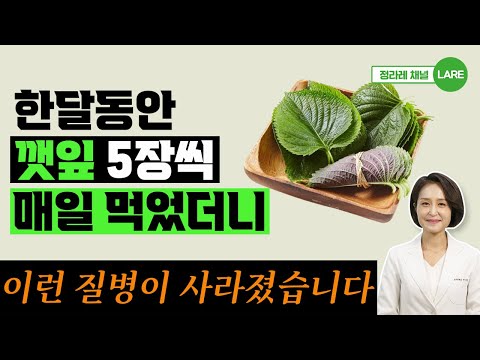 깻잎 5장을 매일 먹으면 이런 질병이 사라집니다. 깻잎 효능과 부작용 [정라레]