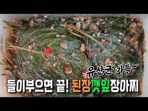 [된장깻잎장아찌] 깻잎 생으로 하면 질겨요. 부드러운 깻잎 만드는 법