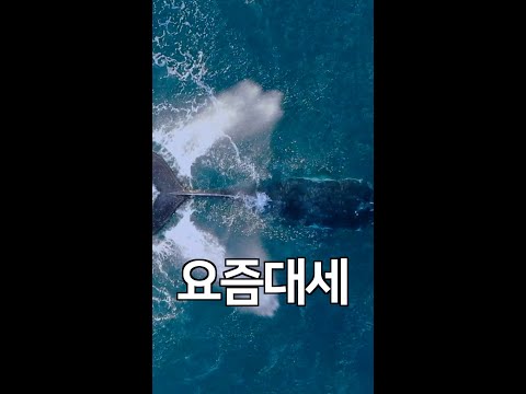 호텔느낌 욕실인테리어 얼마에 할 수 있을까? #shorts