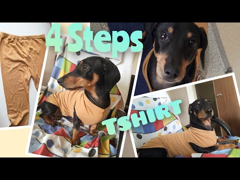 DIY Easy Dog Tshirt from a Pant/Legging