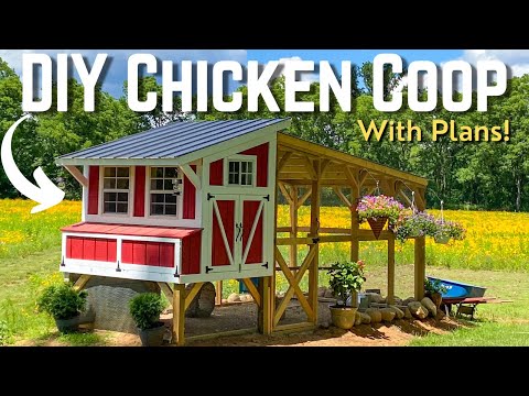 Ultimate Backyard Chicken Coop Build | How To DIY