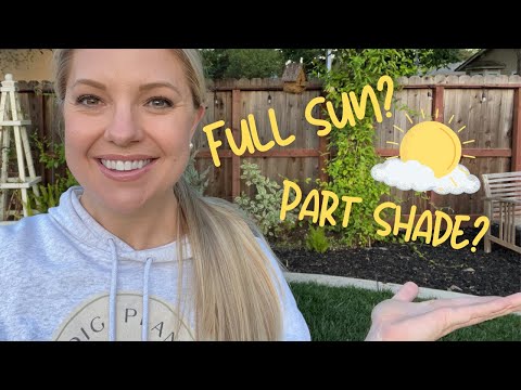 ☀️ How Much Sun Does My Garden Bed Get? ☀️ ::  How to Determine Light Levels In Your Garden Bed!