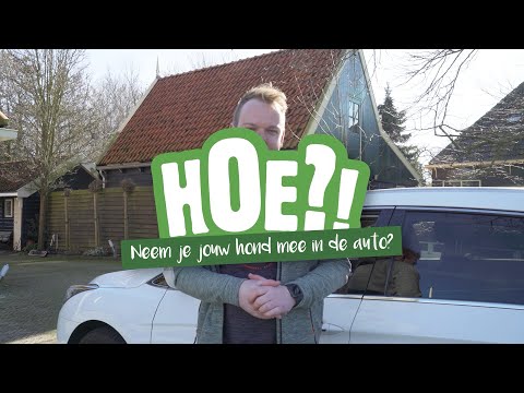 Hoe neem je je hond mee in de auto? | HOE?! | Welkoop