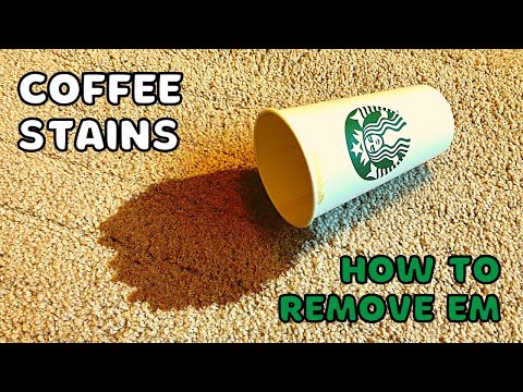 How to Remove Coffee Stains From Carpet (Even if a Pro Couldn't)