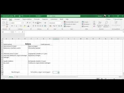 De balans (Excel)