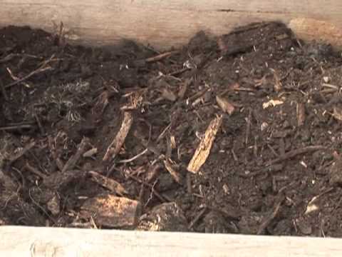 Composting: How Long Does it Take?
