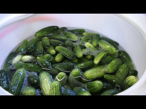 A Few Key Things to Know About Pickles & Cucumbers