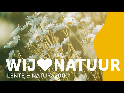 Wij 💚 natuur: wat zijn Natura 2000-gebieden?