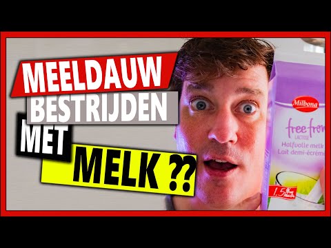 MEELDAUW BESTRIJDEN MET MELK | Week 37 | Vlog 103 | Een nieuwe start met het kanaal