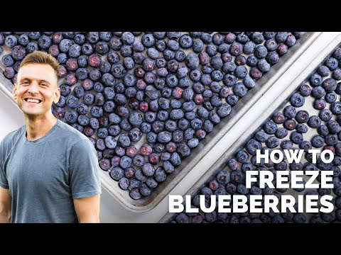 The BEST Way to Freeze Blueberries