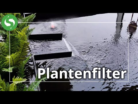 Het Plantenfilter | De eenvoudige manier om een waterval te creëren