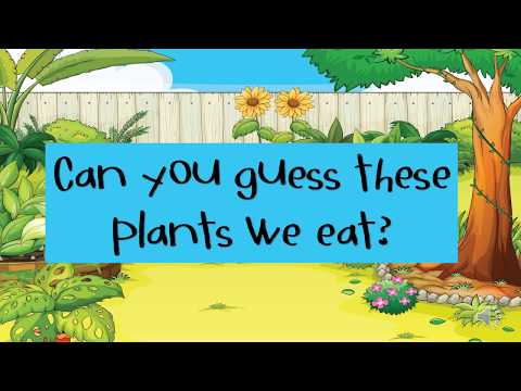 Plant Parts We Eat