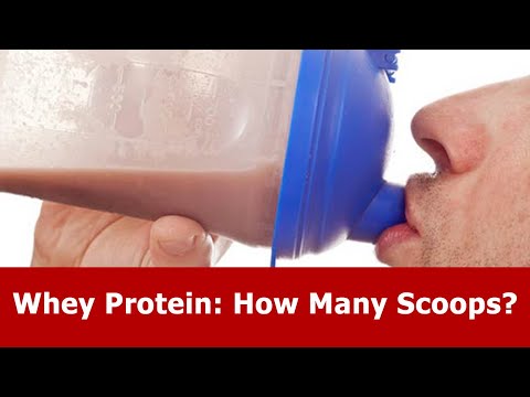 Whey Protein - How Many Scoops?