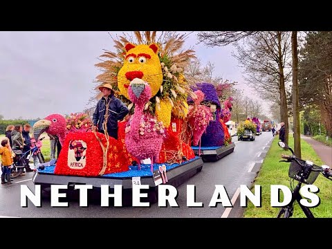 Flower Parade 2023 in Haarlem, The  Netherlands | Bloemencorso Bollenstreek